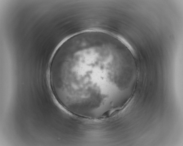 X0000111891100200907301152