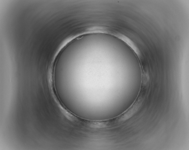 X0000111891101200907301152