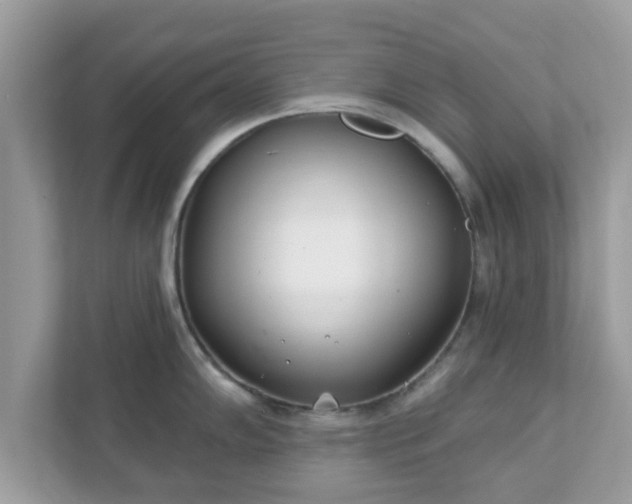 X0000111891102200907301152