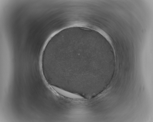 X0000111891104200907301152