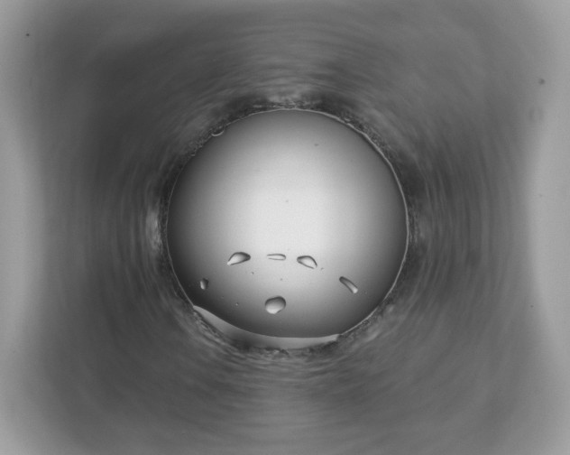 X0000111891106200907301151