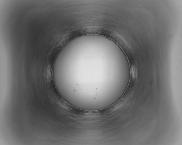 X0000111891107200907301152