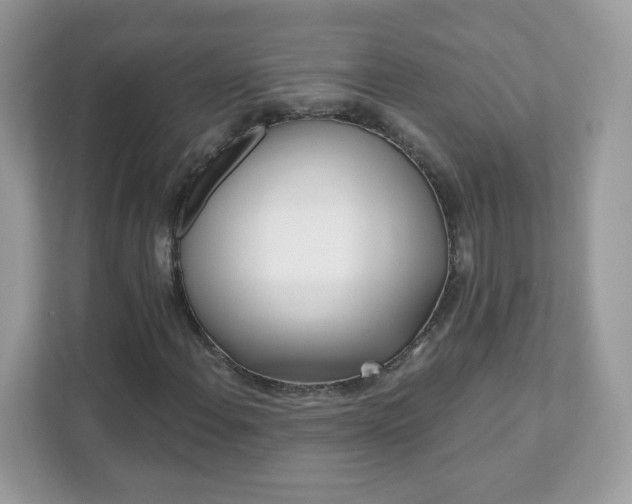 X0000111891108200907301152