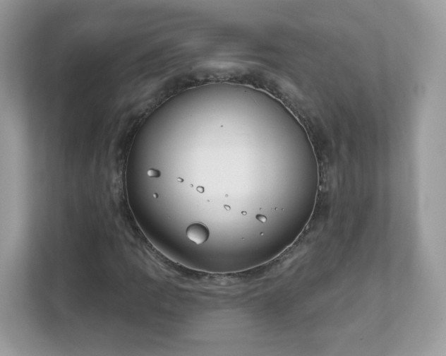 X0000111891109200907301152