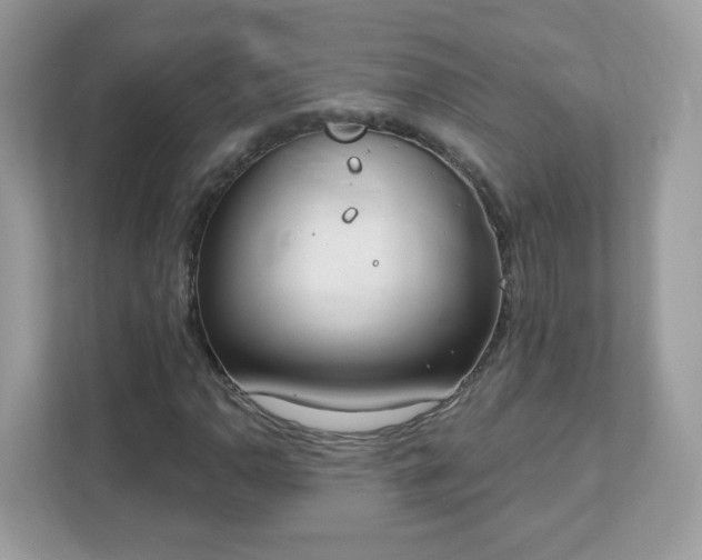 X0000111891110200907301152