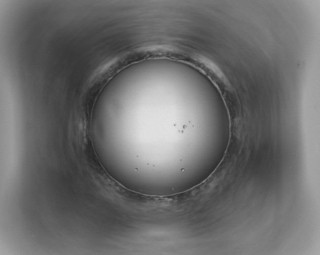 X0000111891111200907301152