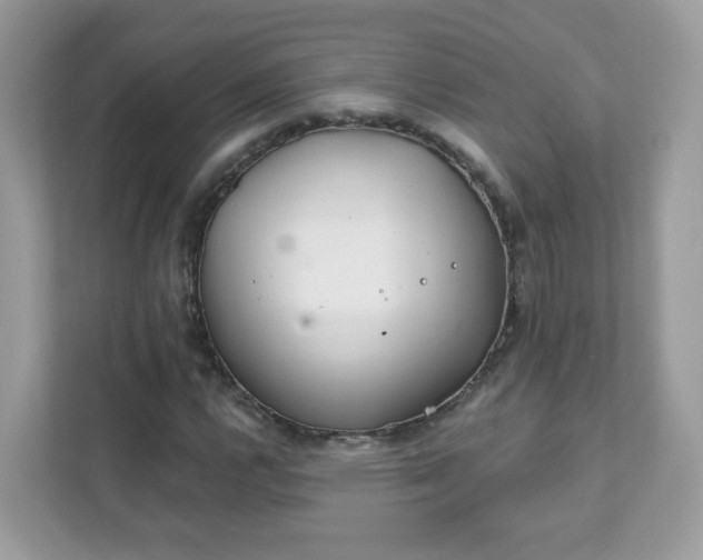 X0000111891112200907301152