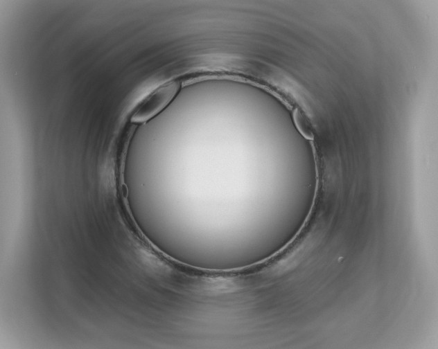 X0000111891114200907301152