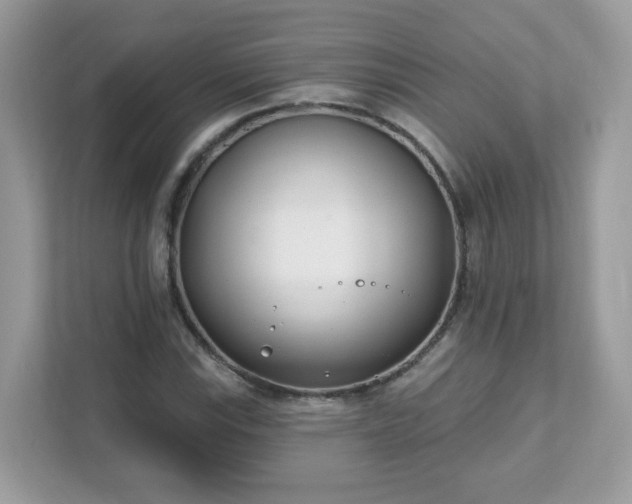 X0000111891115200907301152