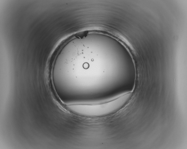 X0000111891116200907301152