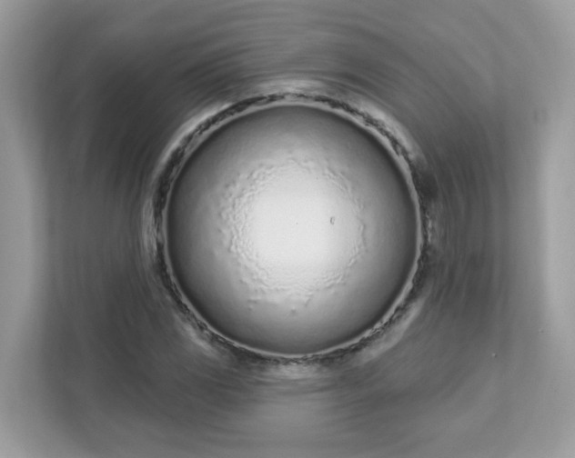 X0000111891117200907301152