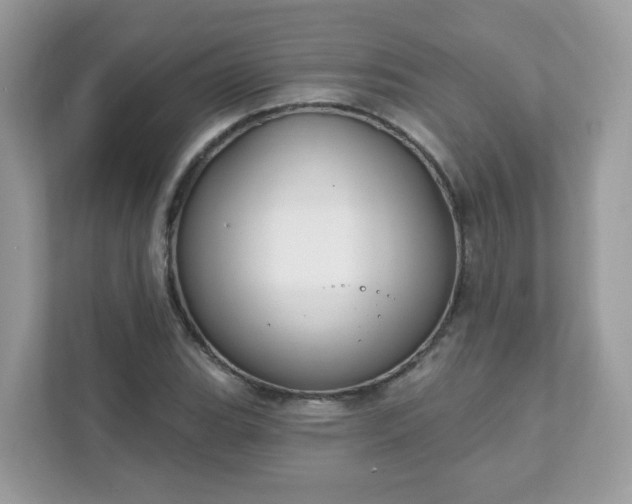 X0000111891119200907301152