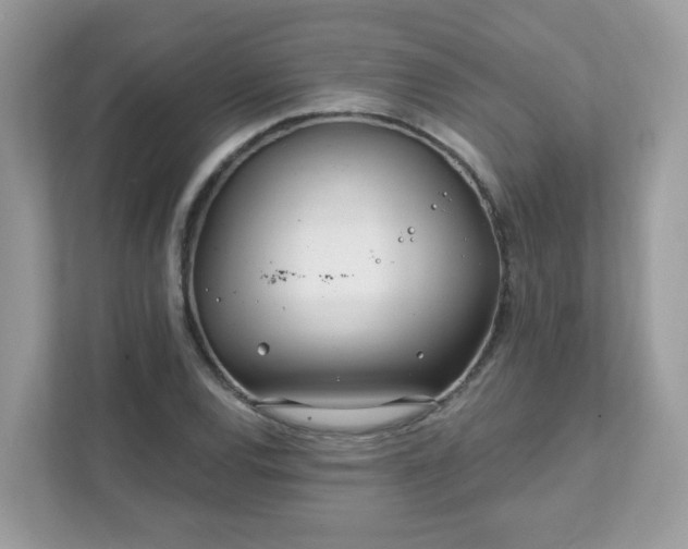 X0000111891120200907301152