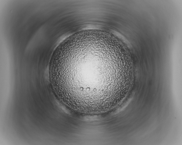 X0000111891121200907301152