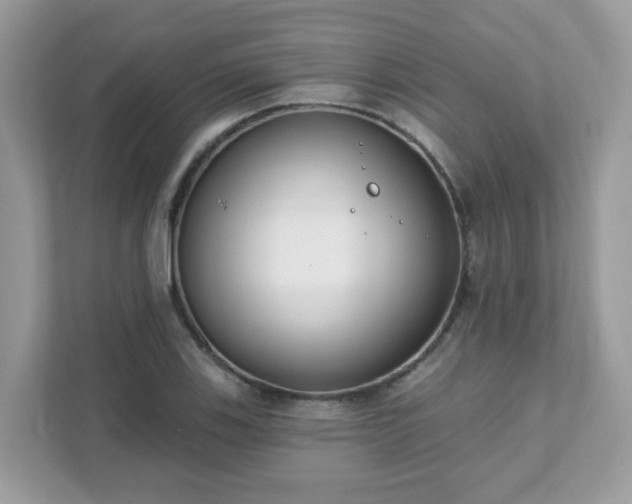 X0000111891123200907301152