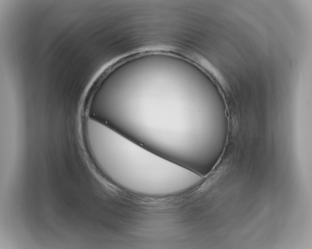 X0000111891124200907301152