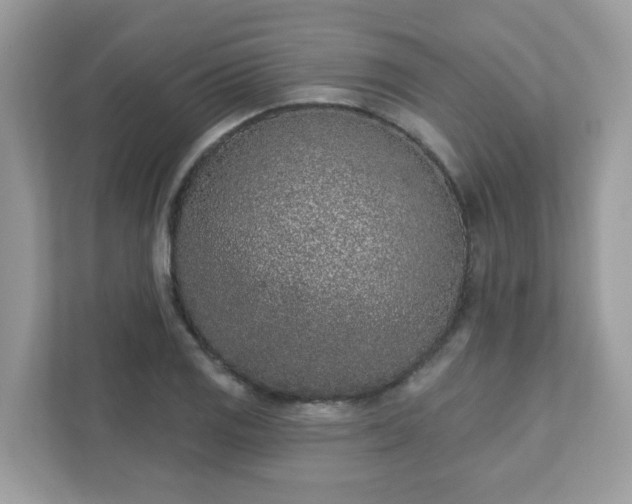 X0000111891125200907301152