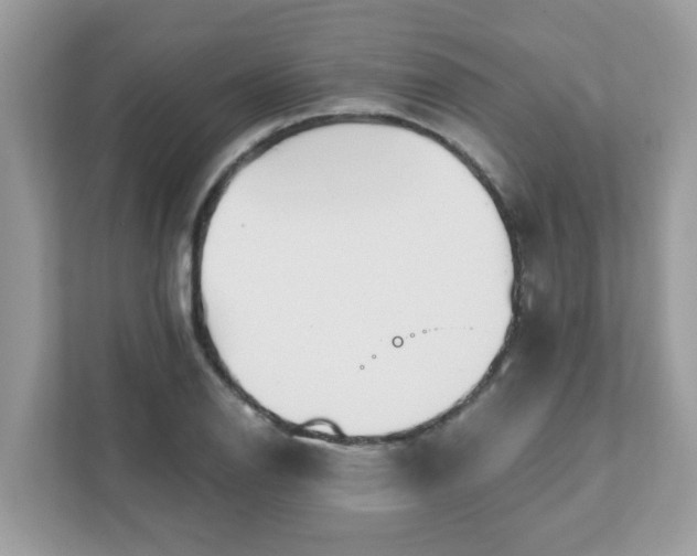 X0000111891126200907301152