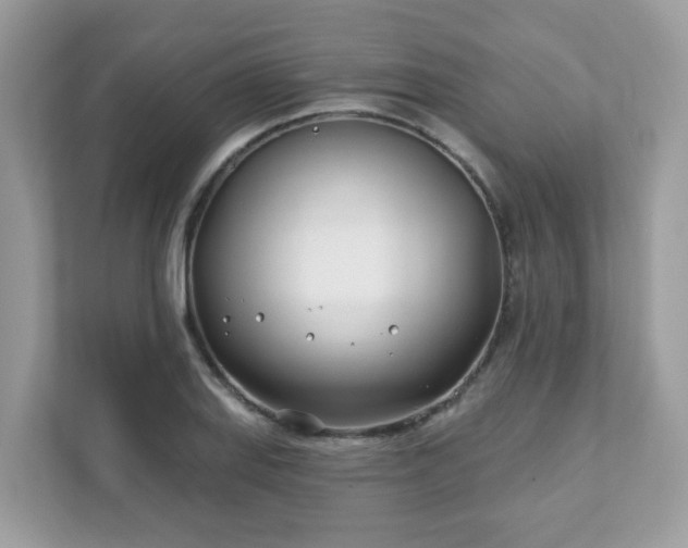 X0000111891127200907301152