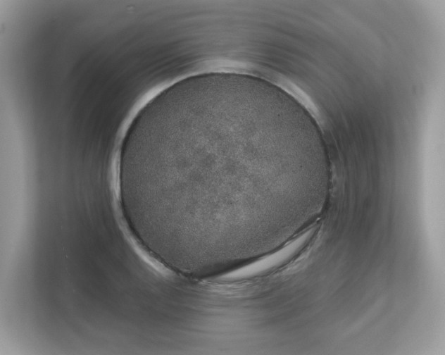 X0000111891128200907301152