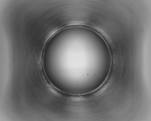 X0000111891129200907301152