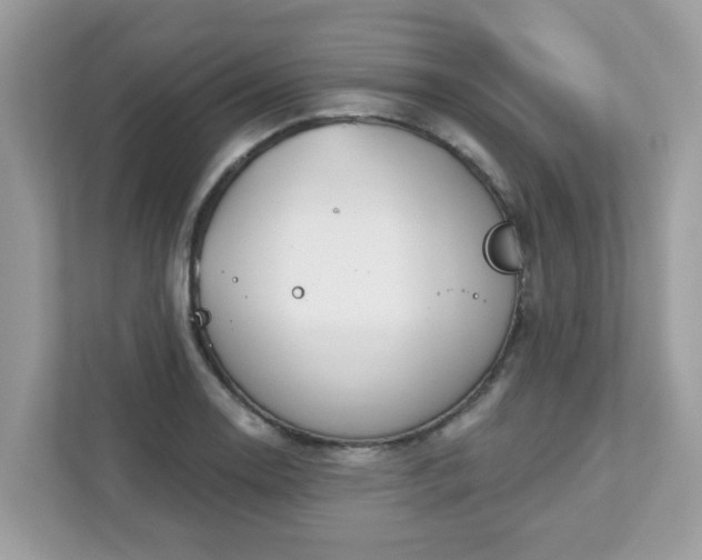 X0000111891130200907301152