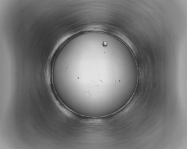 X0000111891131200907301152