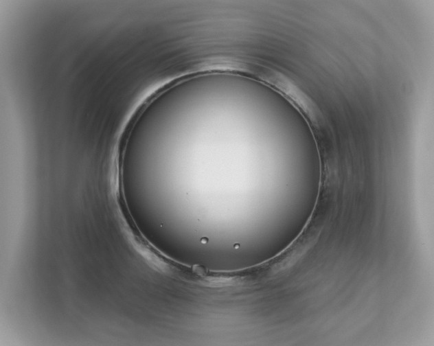 X0000111891132200907301152