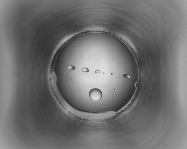 X0000111891133200907301152