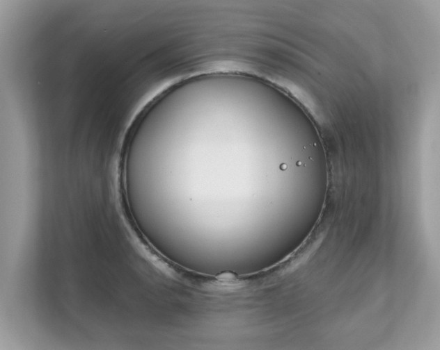 X0000111891134200907301152