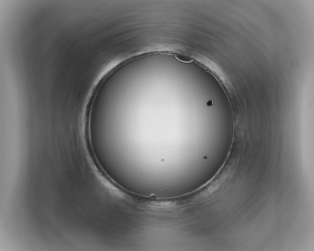 X0000111891135200907301152