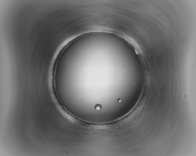 X0000111891136200907301152