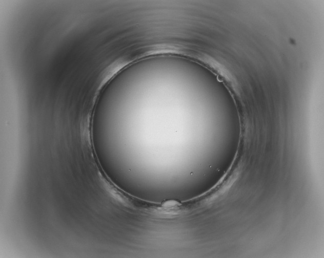 X0000111891137200907301152