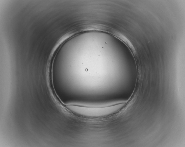 X0000111891138200907301152