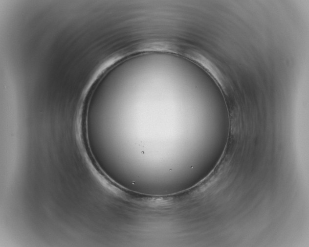 X0000111891139200907301152