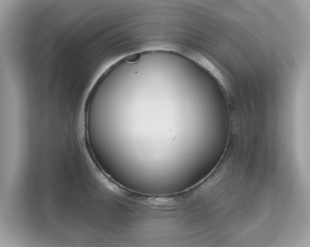 X0000111891140200907301152