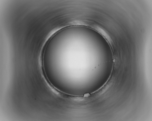 X0000111891141200907301152