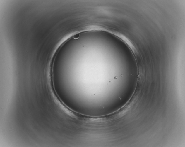 X0000111891142200907301152