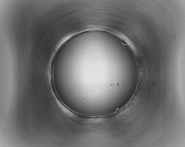 X0000111891143200907301152