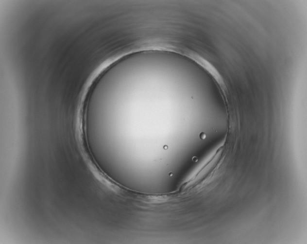 X0000111891144200907301152