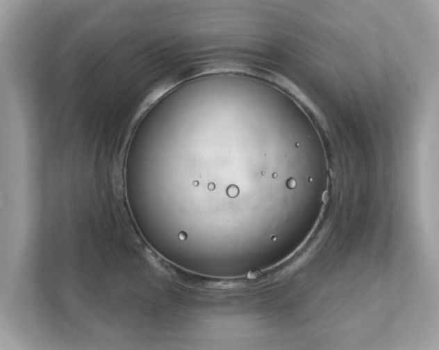 X0000111891145200907301152