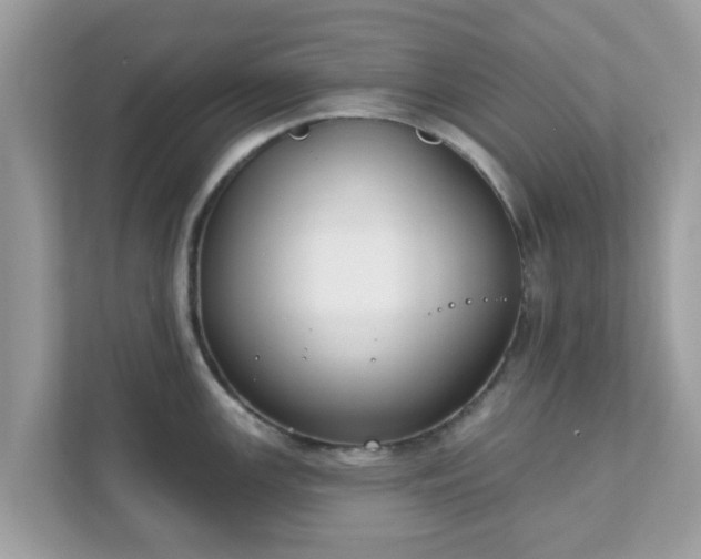 X0000111891147200907301152