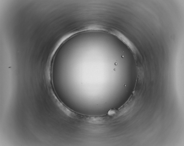 X0000111891148200907301152