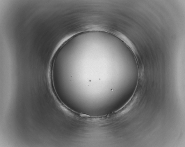 X0000111891149200907301152