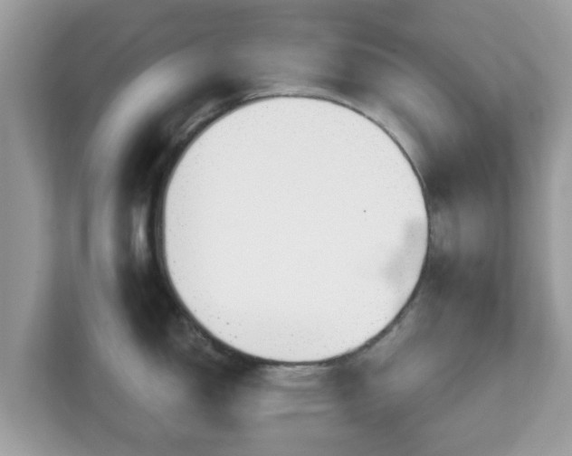 X0000111891150200907301152