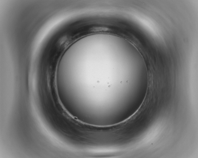 X0000111891151200907301152