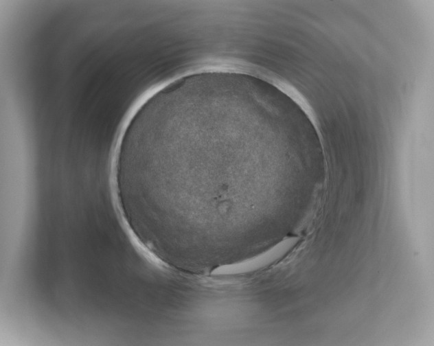 X0000111891152200907301152