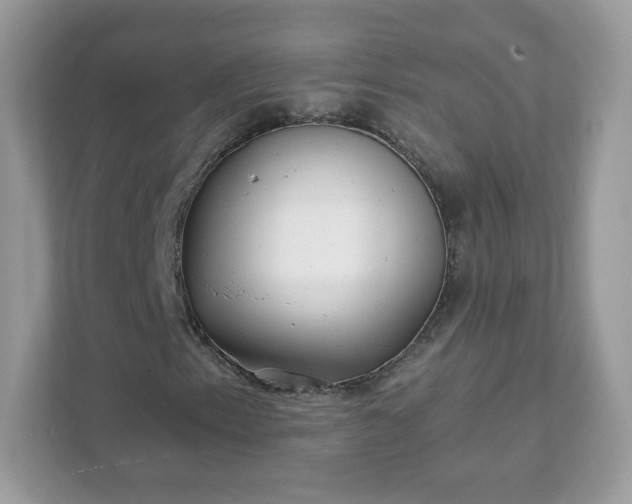 X0000111891153200907301151