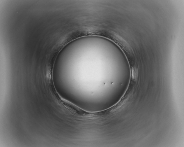 X0000111891155200907301151