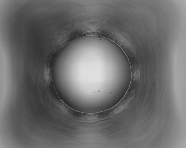 X0000111891156200907301151